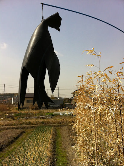 カラスのかかし