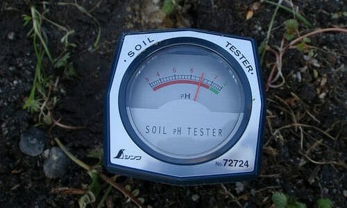 土壌の酸性度（pH）と測定・調整方法について