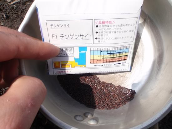 チンゲン菜の種