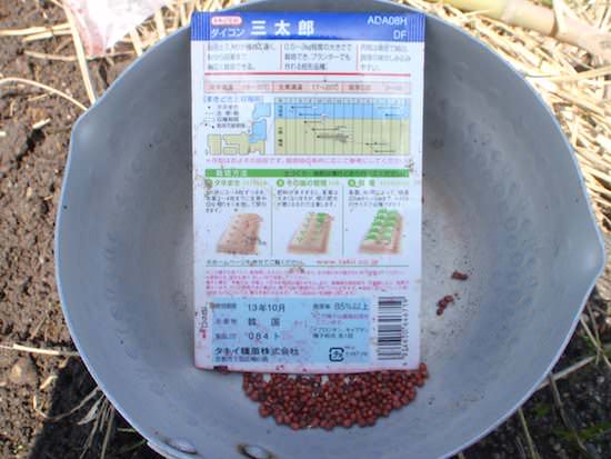 大根の種(三太郎)