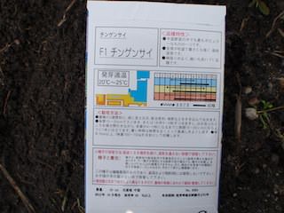 F1チンゲンサイ(国華園)の種