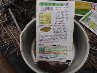 サラダ京水菜の種
