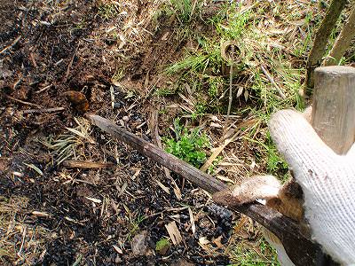 20100404_1733448