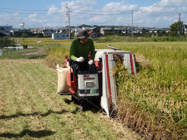 コンバインで稲刈り