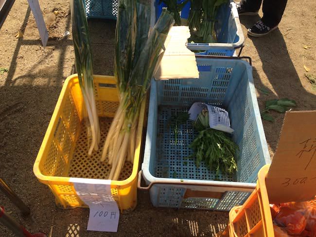 即完売した白ネギ