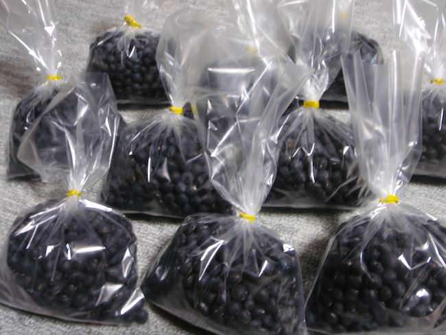 出荷用に袋詰した黒豆
