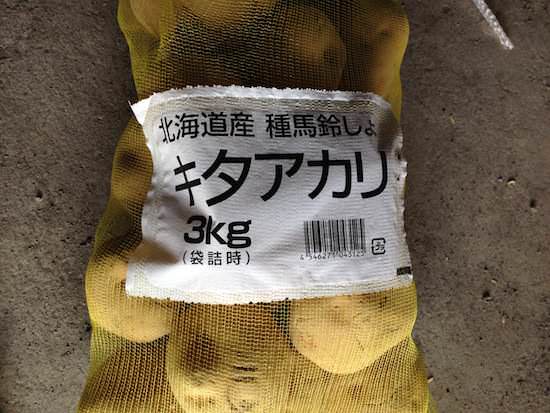 キタアカリの種芋