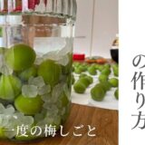 手作り梅酒の作り方と必要材料