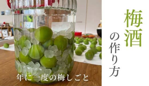 手作り梅酒の作り方と必要材料