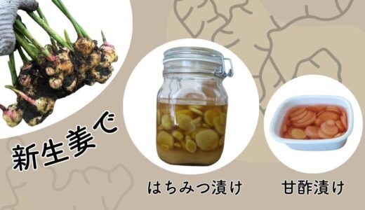 新生姜ではちみつ漬けと甘酢漬け（ガリ）を作ったよ