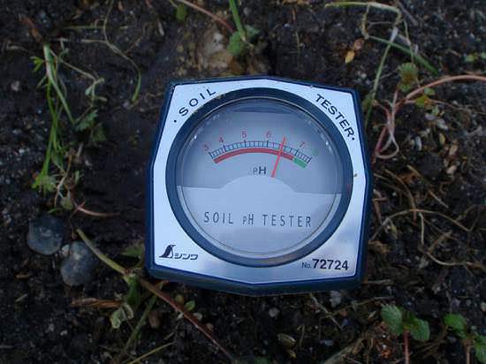 土壌の酸性度 Ph と測定 調整方法について やまむファーム
