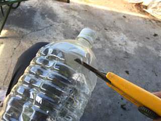 ペットボトルでネキリムシ対策