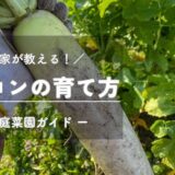 ダイコン（大根）の育て方・栽培のコツ -家庭菜園ガイド-