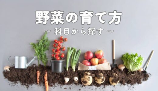 科目から探す 〜野菜の育て方〜