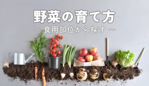 食用部位から探す 〜野菜の育て方〜