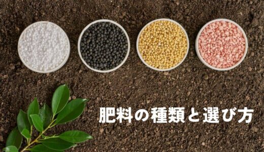 肥料の種類と選び方
