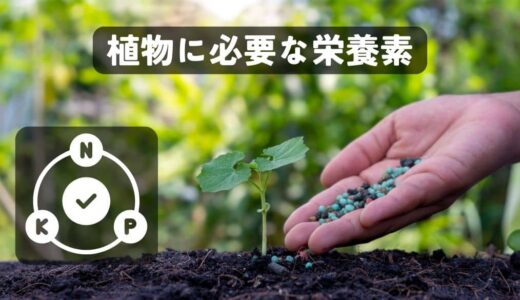植物に必要な栄養素