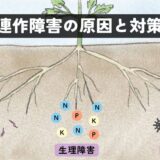 連作障害の原因と対策