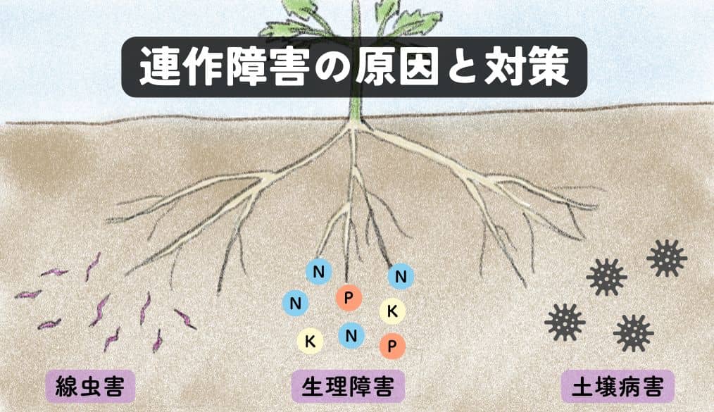 連作障害の原因と対策