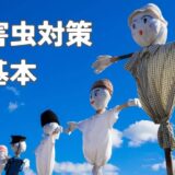 病害虫対策の基本