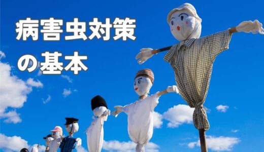 病害虫対策の基本
