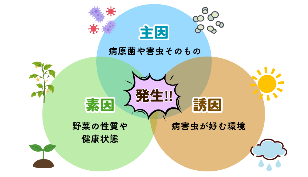 病害の三要因_主因・素因・誘因(病気のトライアングル)