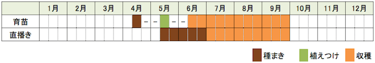c-spinach-time.png クウシンサイ(空芯菜)の栽培時期・栽培スケジュール