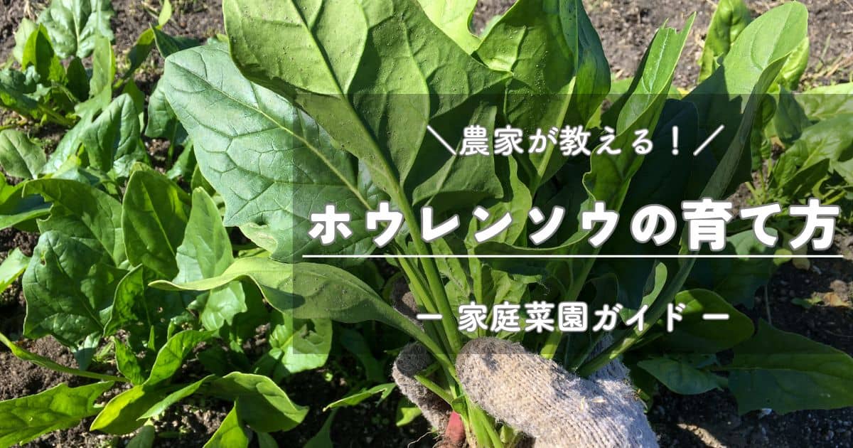 ホウレン草14キロファームさま専用ページ！