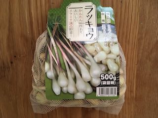 ラッキョウの種球
