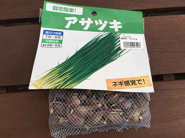 アサツキ(浅葱)の種球