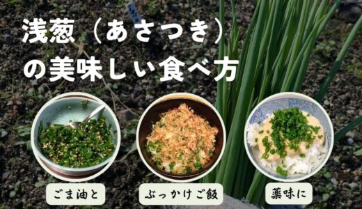 浅葱（あさつき）の美味しい食べ方レシピ