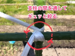 支柱をヒモで強固に固定するコツ