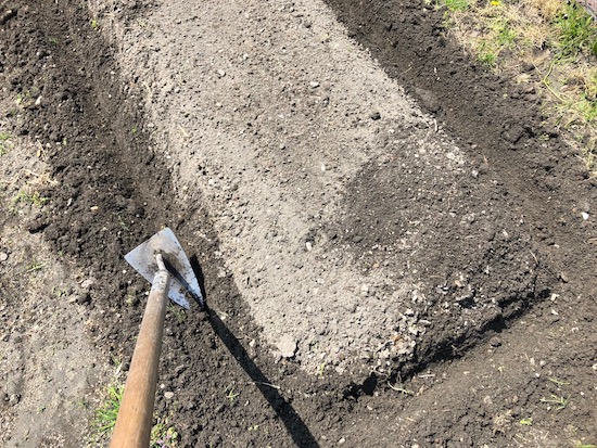 畝のまわりにマルチシートを埋めるための溝を掘る