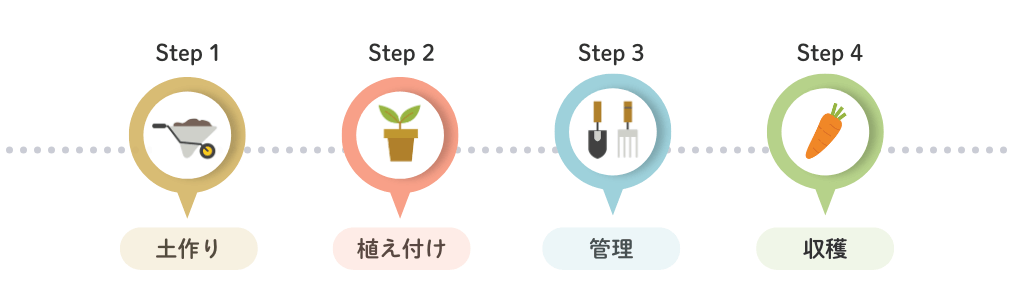 野菜栽培の一連の流れと各作業内容について