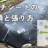 マルチシートの種類とマルチの張り方