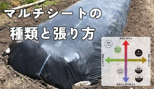 マルチシートの種類と効果・失敗しない張り方のポイント