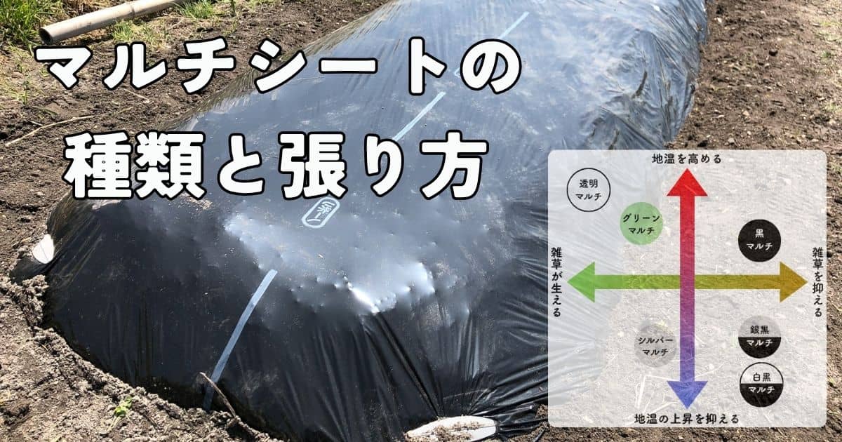 【引取りor着払い】農業者マルチシート　不織布 農業用生分解マルチシート「NINJAマルチ」に新サイズ追加 オーミヤ