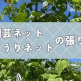 園芸ネット・きゅうりネットの張り方