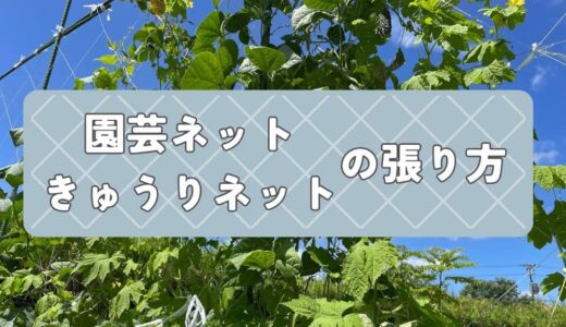 園芸ネット・きゅうりネットの張り方