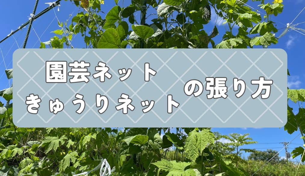 園芸ネット・きゅうりネットの張り方