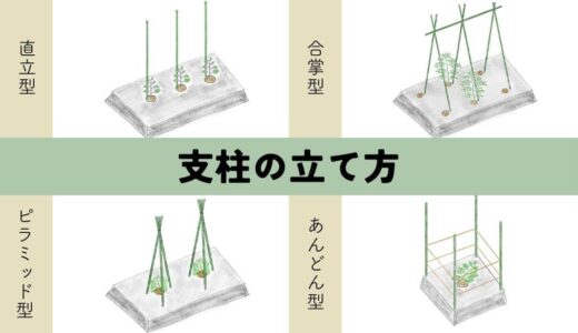 支柱立ての基本と、代表的な支柱の立て方