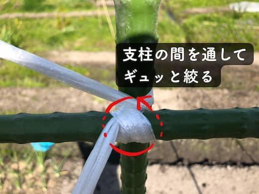 支柱をヒモで強固に固定するコツ