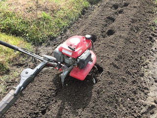 耕運機で耕して土作り作業