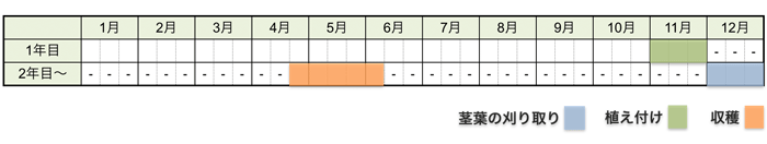 アスパラガスの栽培時期・栽培スケジュール(大苗から育てる場合)
