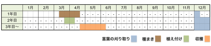 アスパラガスの栽培時期・栽培スケジュール(種から育てる場合)