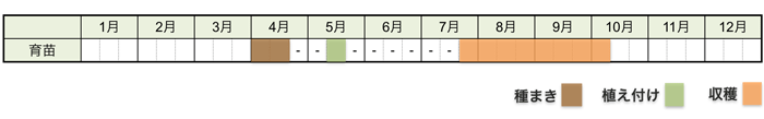 ゴーヤの栽培時期・栽培スケジュール