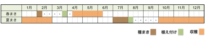 ブロッコリーの栽培時期・栽培スケジュール