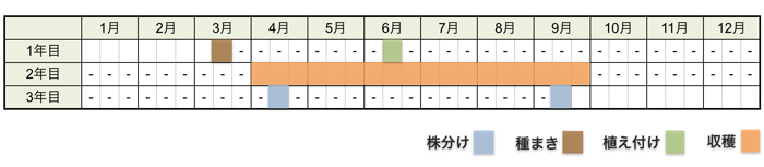 ニラの栽培時期・栽培スケジュール