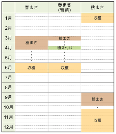 春菊 栽培 方法 誕生 日 ライン 友達