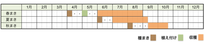 キュウリの栽培時期・栽培スケジュール